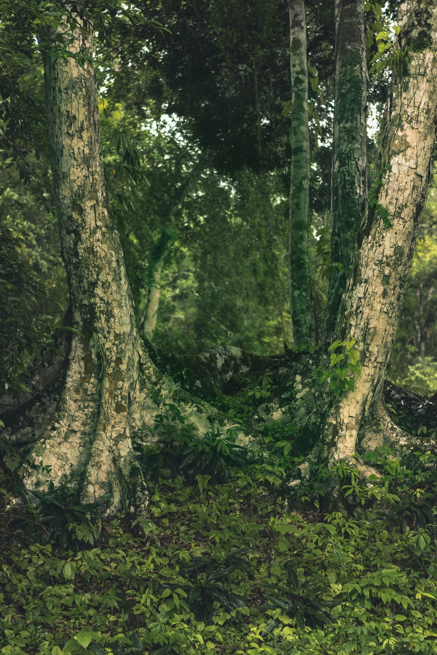 Exploring Unusual Terrain Features In Minecraft